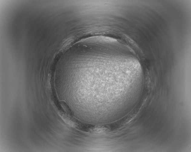 X0000061110209200512022134