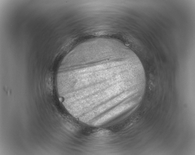 X0000061110210200512022134