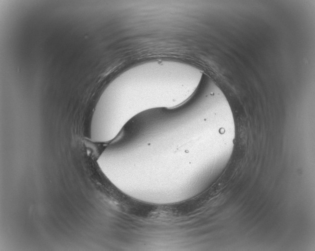 X0000061110211200512022134