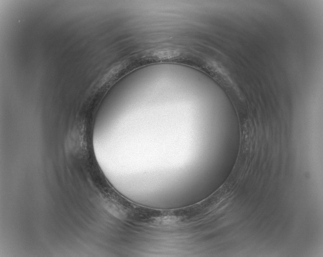 X0000061110212200512022134