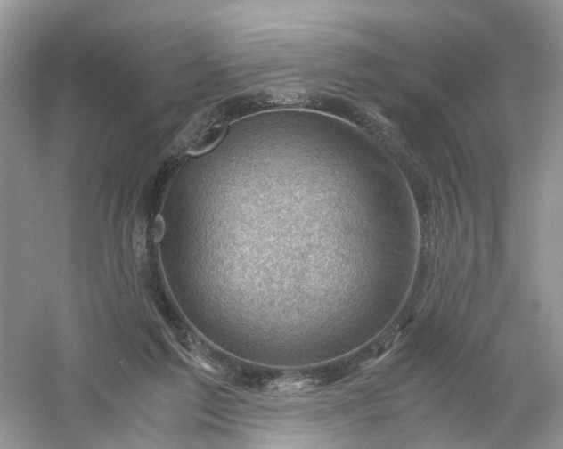 X0000061110213200512022134