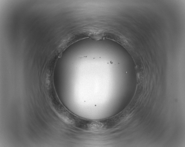 X0000061110215200512022134