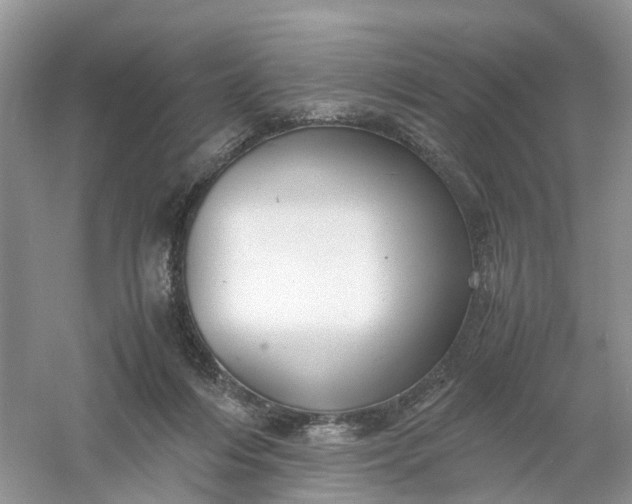 X0000061110216200512022134