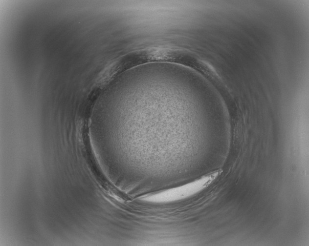 X0000061110217200512022134