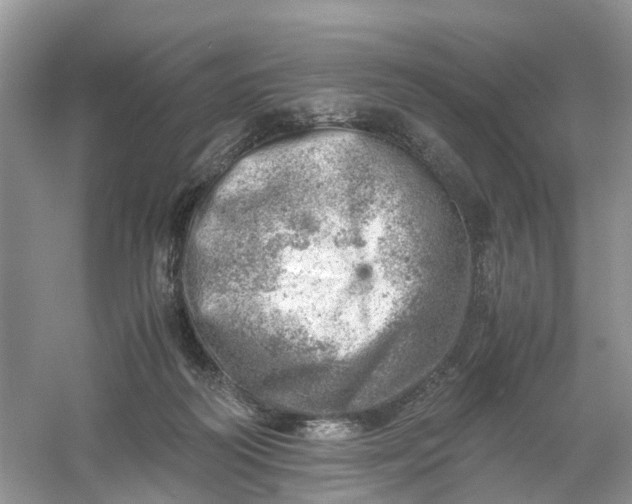 X0000061110218200512022134