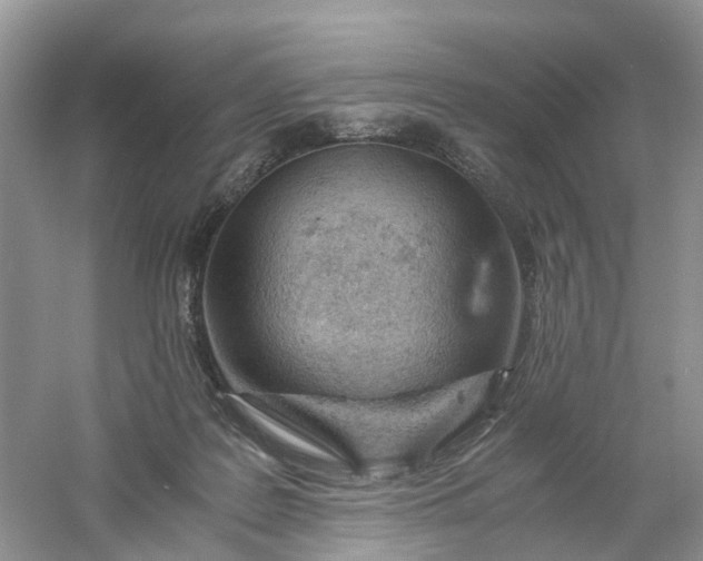 X0000061110219200512022134