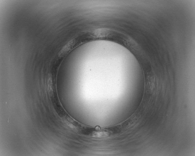 X0000061110220200512022134