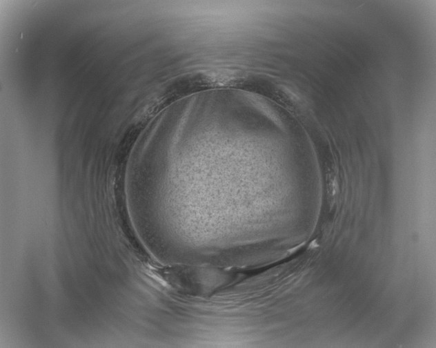 X0000061110221200512022134