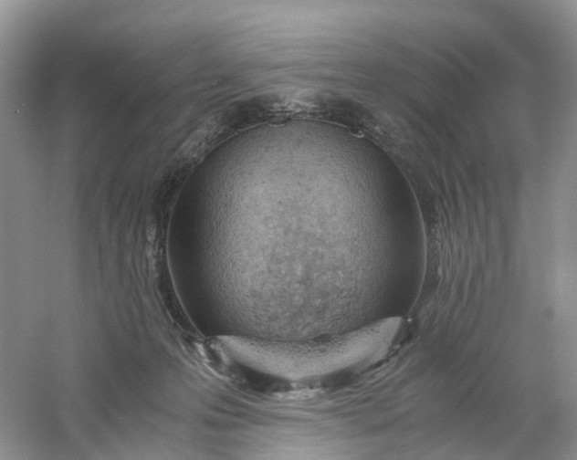 X0000061110223200512022134