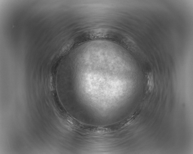 X0000061110224200512022134