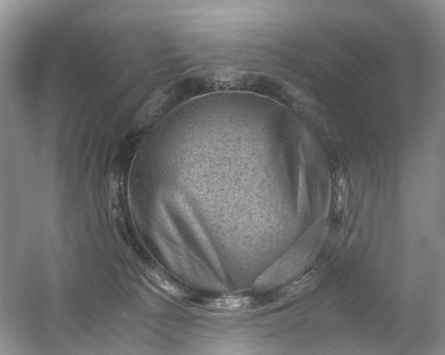 X0000061110225200512022134