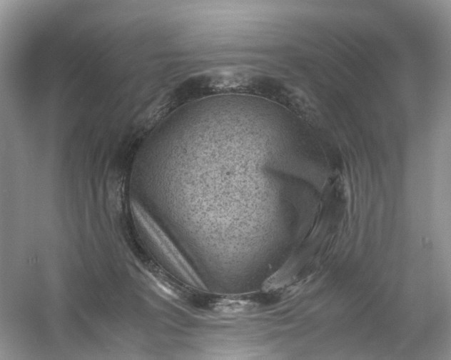 X0000061110227200512022134