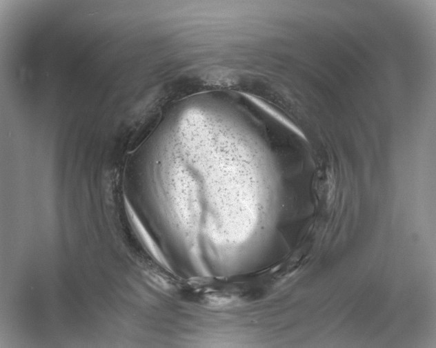 X0000061110229200512022134