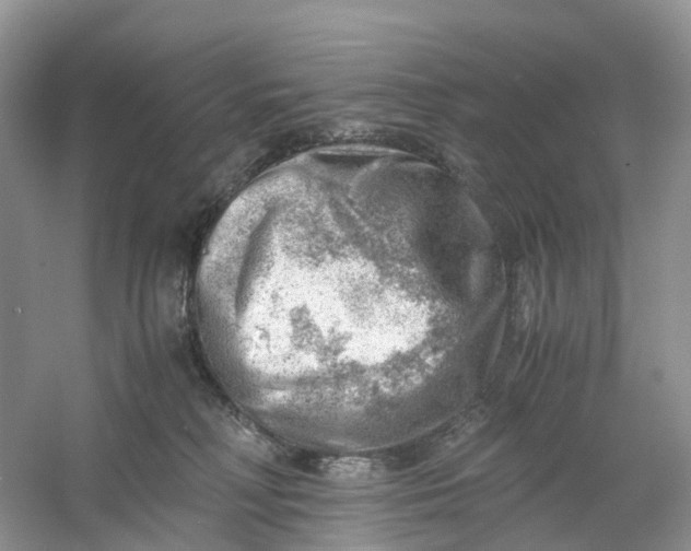 X0000061110230200512022134