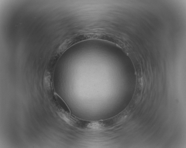 X0000061110231200512022134