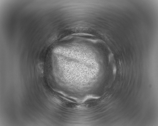 X0000061110232200512022134