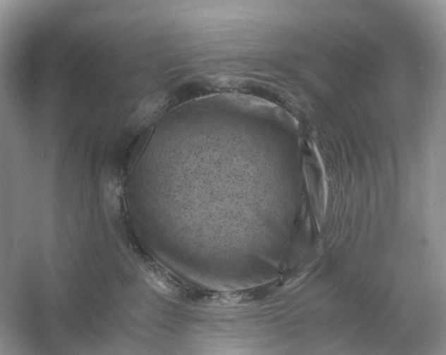 X0000061110235200512022134