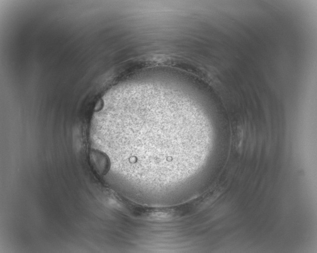 X0000061110236200512022134