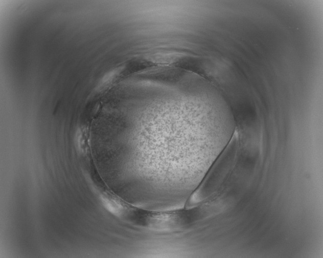 X0000061110237200512022134