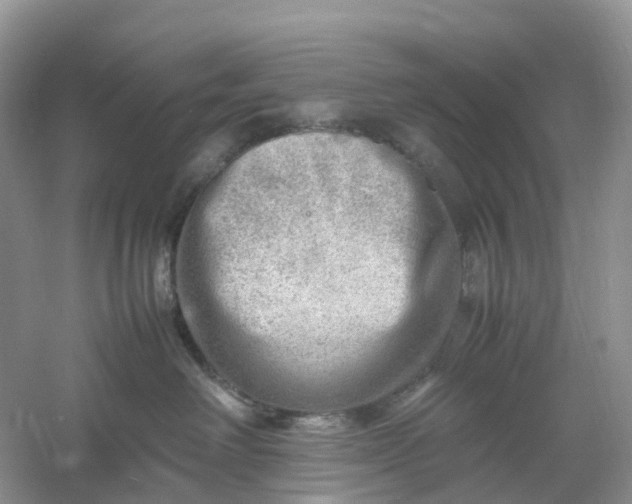 X0000061110238200512022134