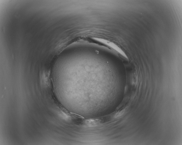 X0000061110239200512022134