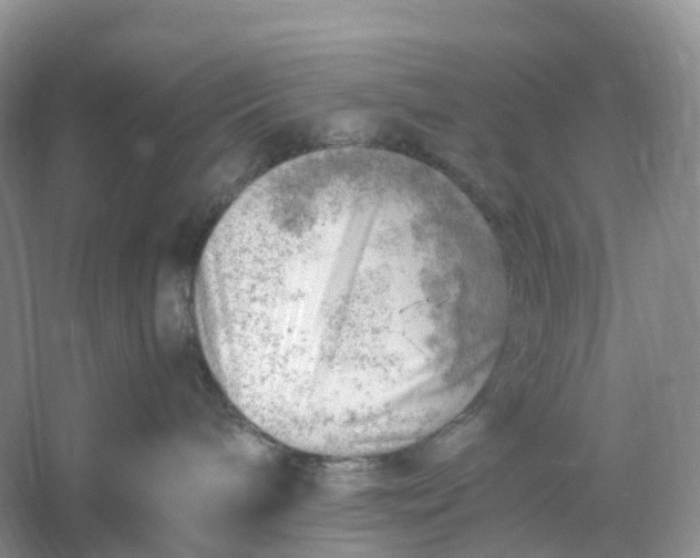 X0000061110240200512022134