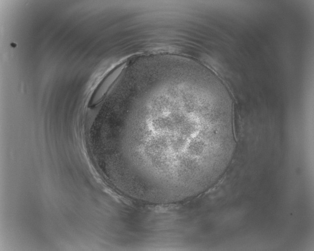 X0000061110241200512022133