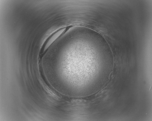 X0000061110242200512022133