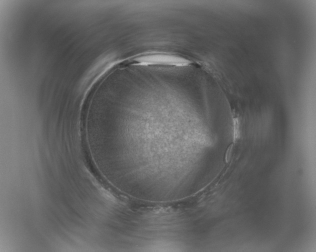 X0000061110243200512022133