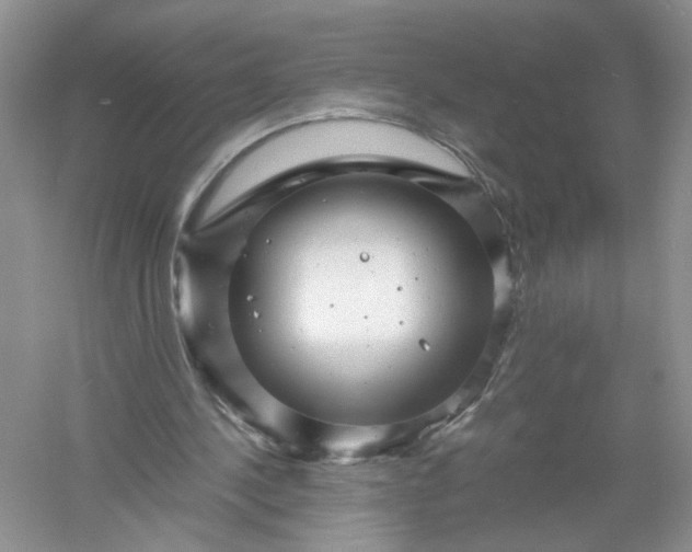 X0000061110244200512022133