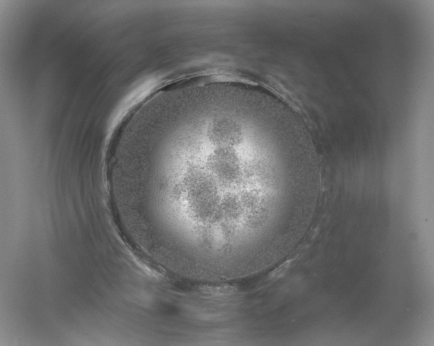 X0000061110245200512022133