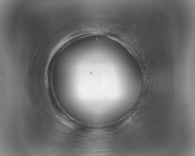 X0000061110246200512022133