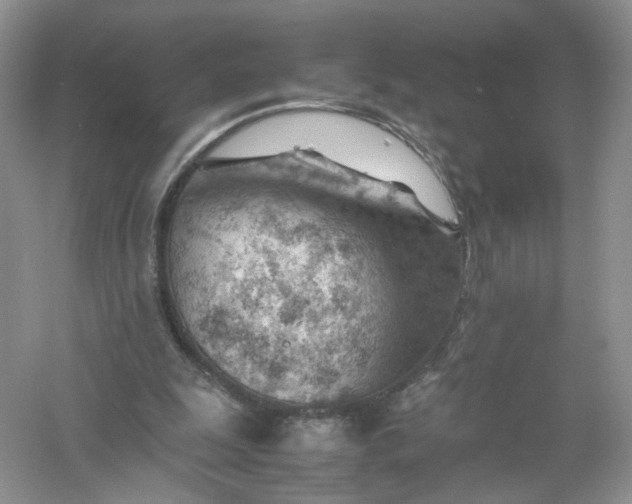 X0000061110247200512022133