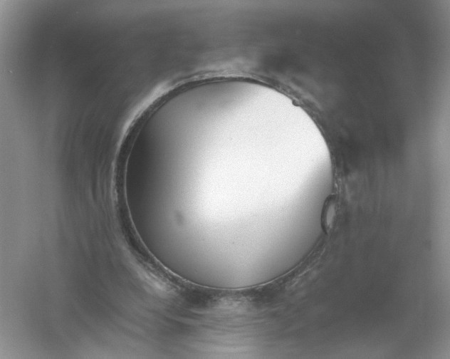 X0000061110248200512022133