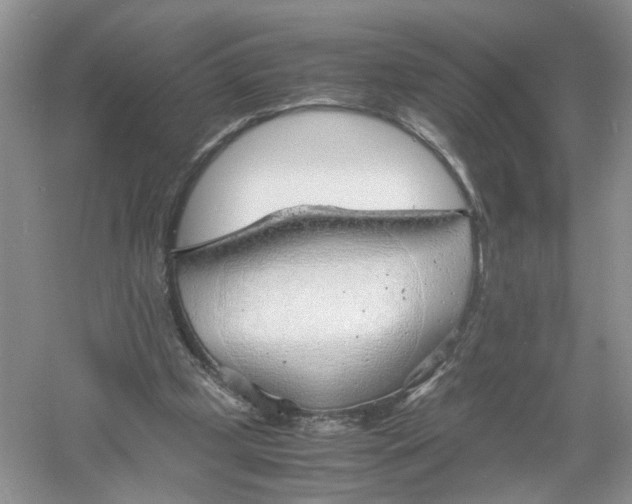 X0000061110249200512022133