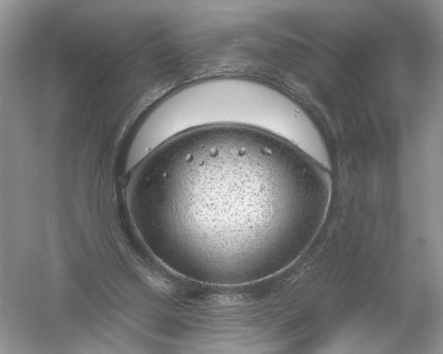 X0000061110250200512022133