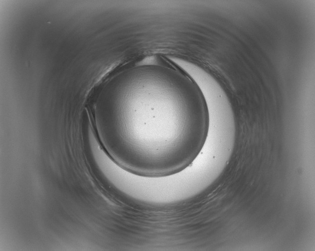 X0000061110251200512022133