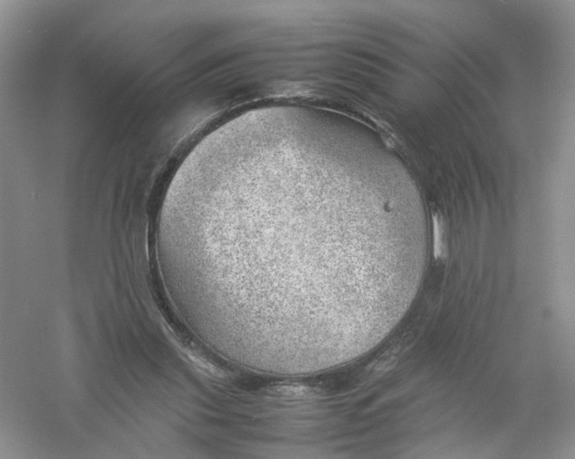 X0000061110253200512022133