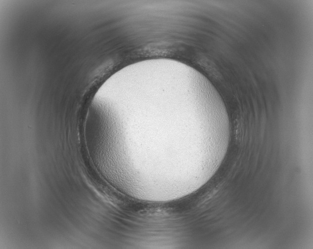 X0000061110254200512022133