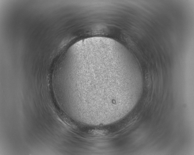 X0000061110255200512022133