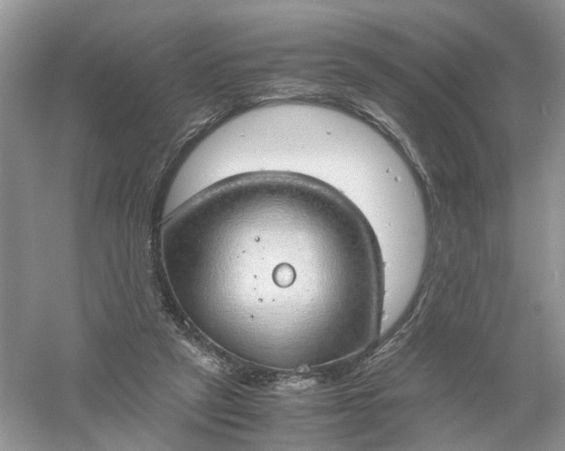 X0000061110257200512022133