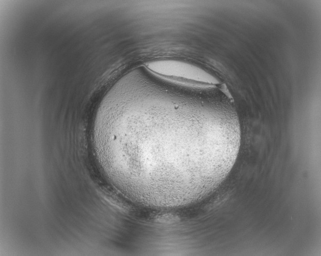 X0000061110258200512022133