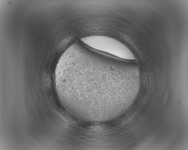 X0000061110259200512022133