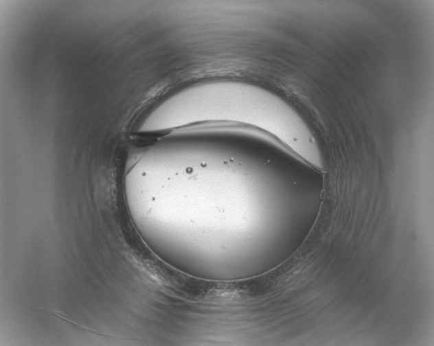 X0000061110260200512022133