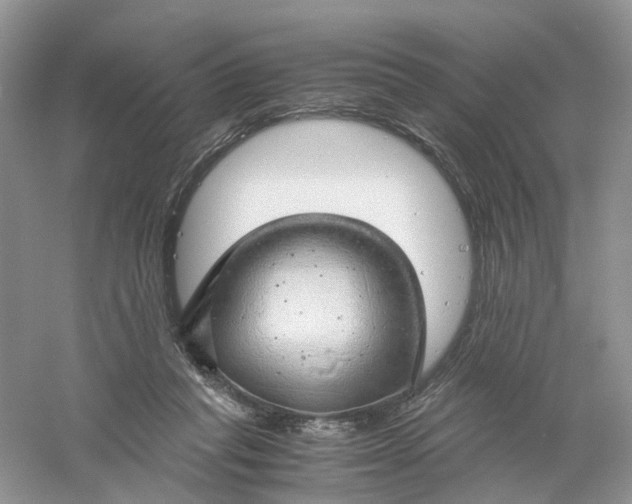 X0000061110261200512022133