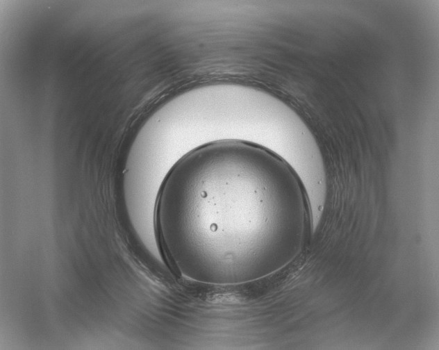 X0000061110262200512022133