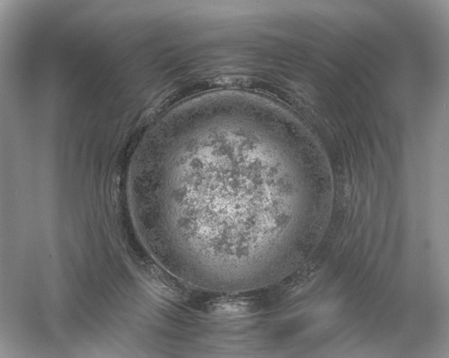 X0000061110263200512022133