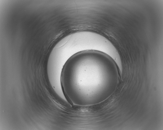 X0000061110264200512022133