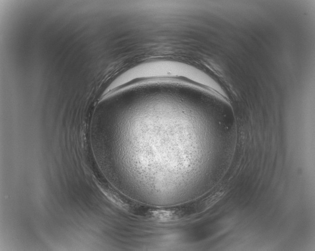 X0000061110265200512022133