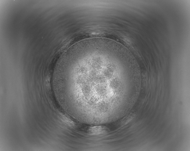 X0000061110269200512022133